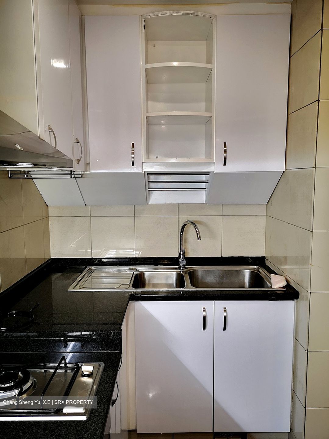 River Place (D3), Condominium #412912751